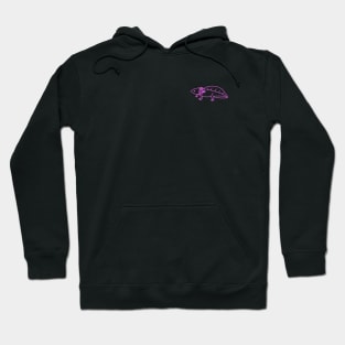 The Audio Experience (Pink Alt) Hoodie